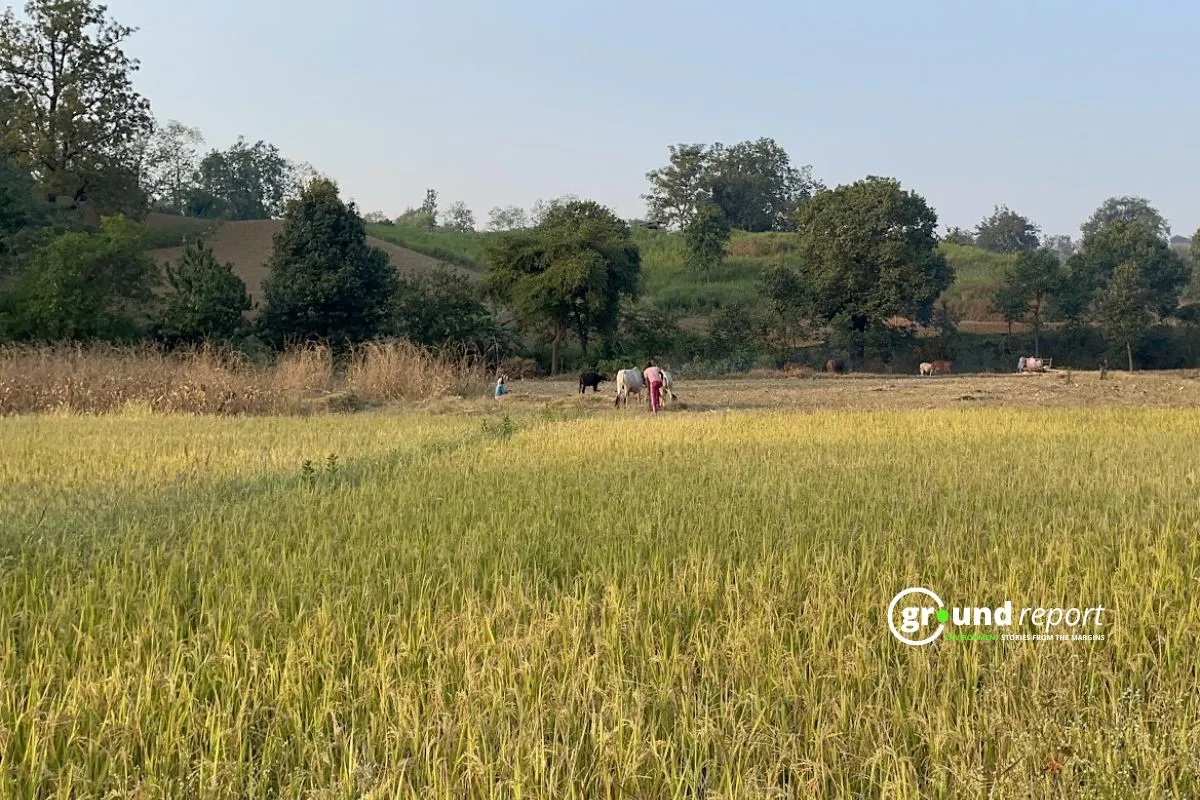 forest village conversion in MP stuck in bureaucracy