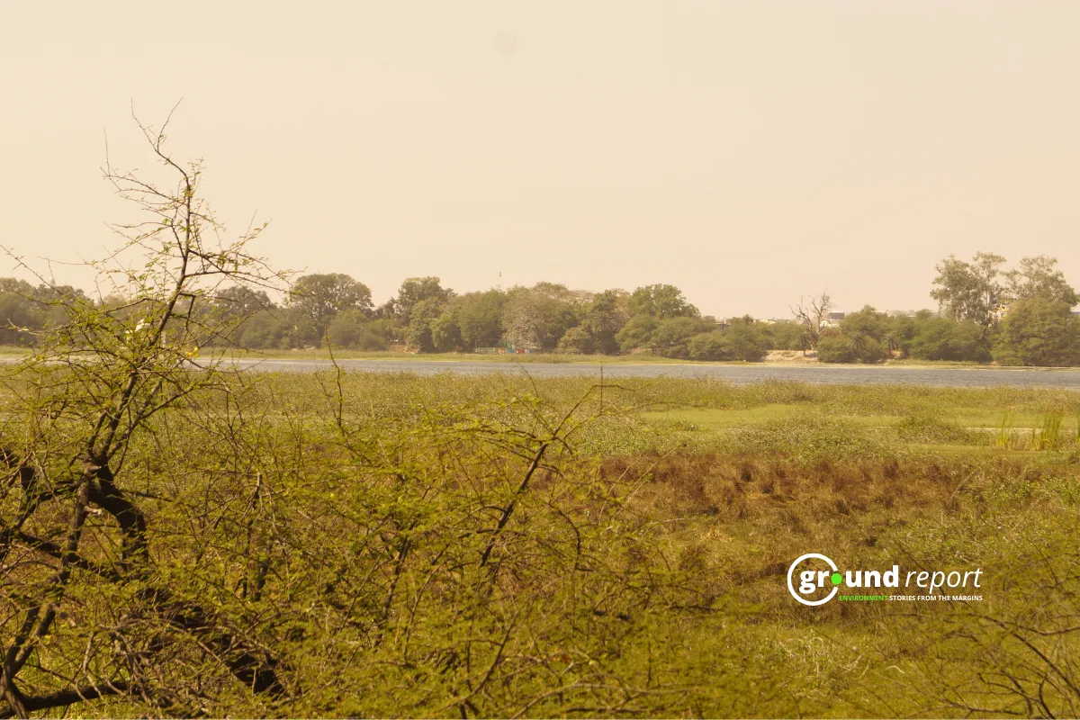 Sirpur Wetland 10 11 1213