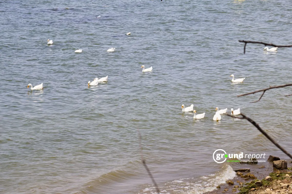 How can Bhoj wetland address the issue of microplastics123456