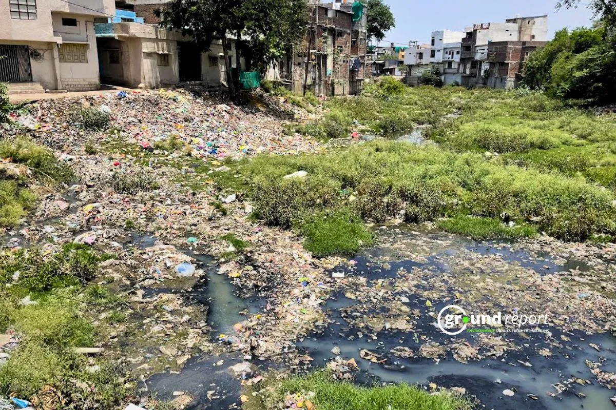 C2 drain of Sehore