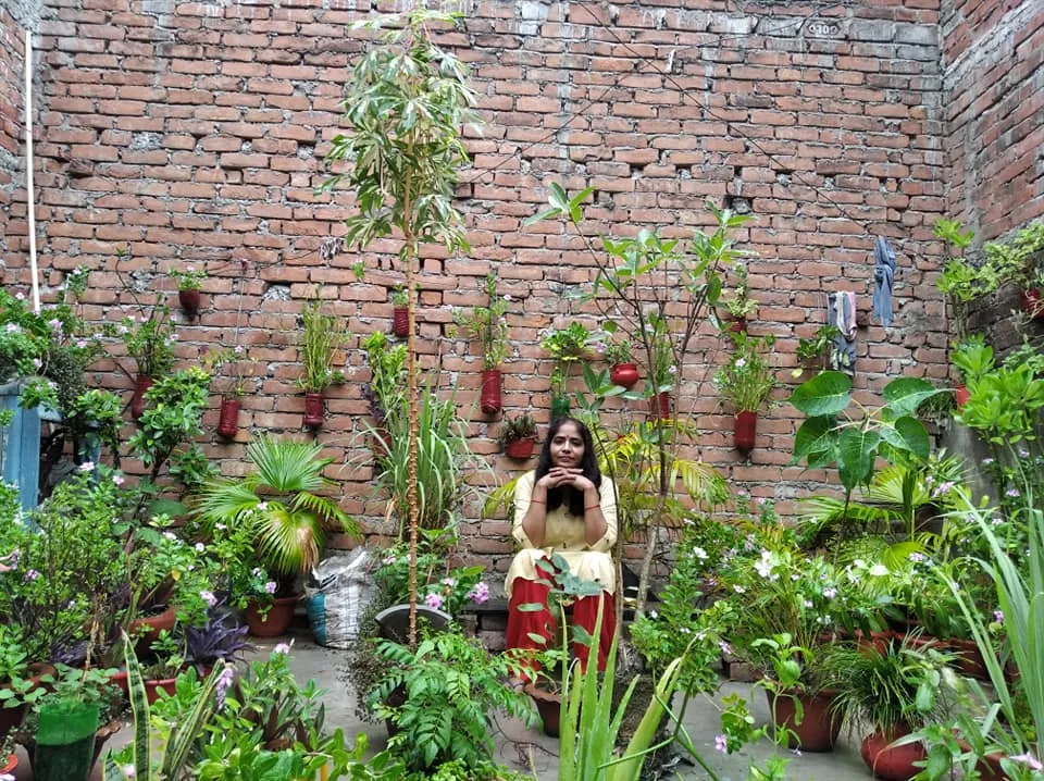 Gardening in balcony 