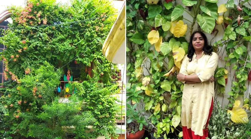 Balcony become beautiful garden