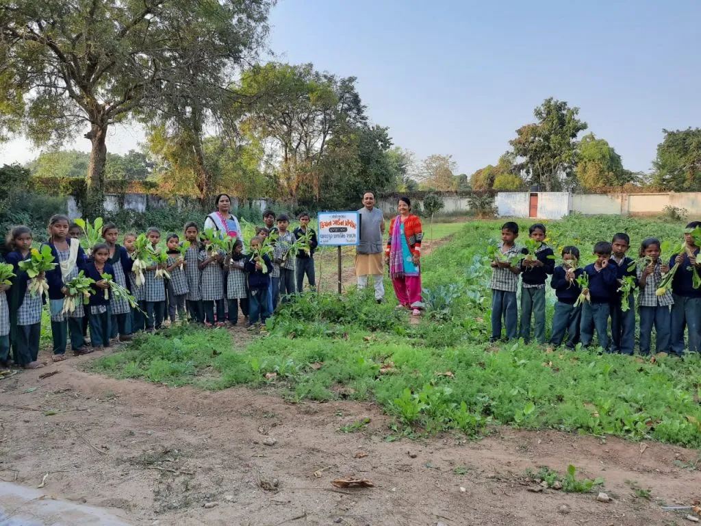 Organic farming in school