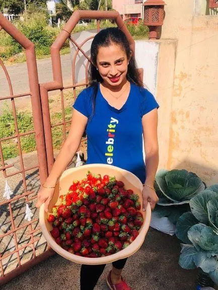 Fresh Strawberry from Saniha Garden 