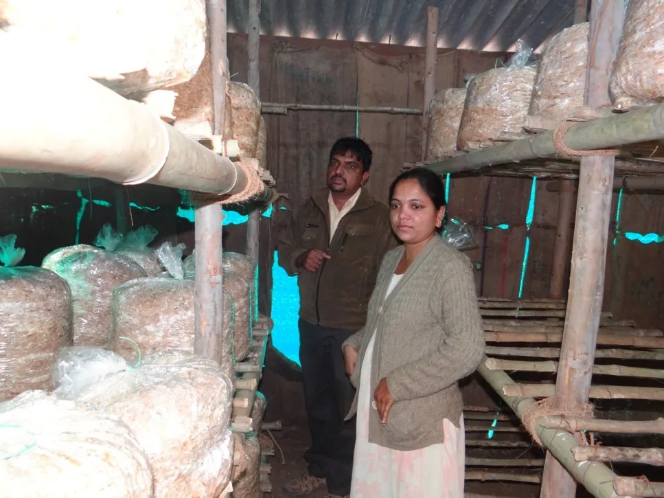 Anjana Teach Mushroom farming