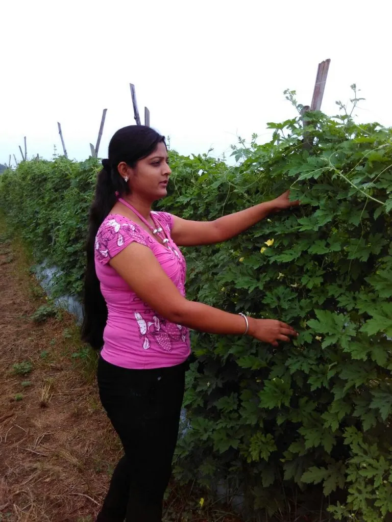 Vallari become expert in farming