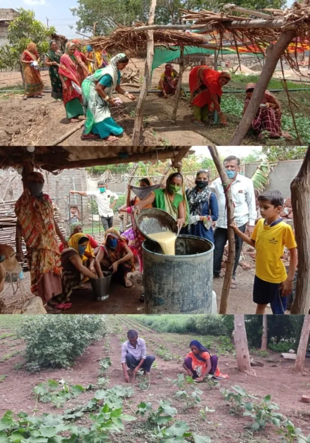 Kitchen Garden