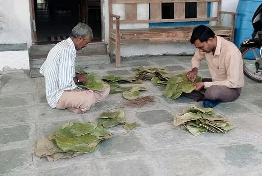 Leaf Plate