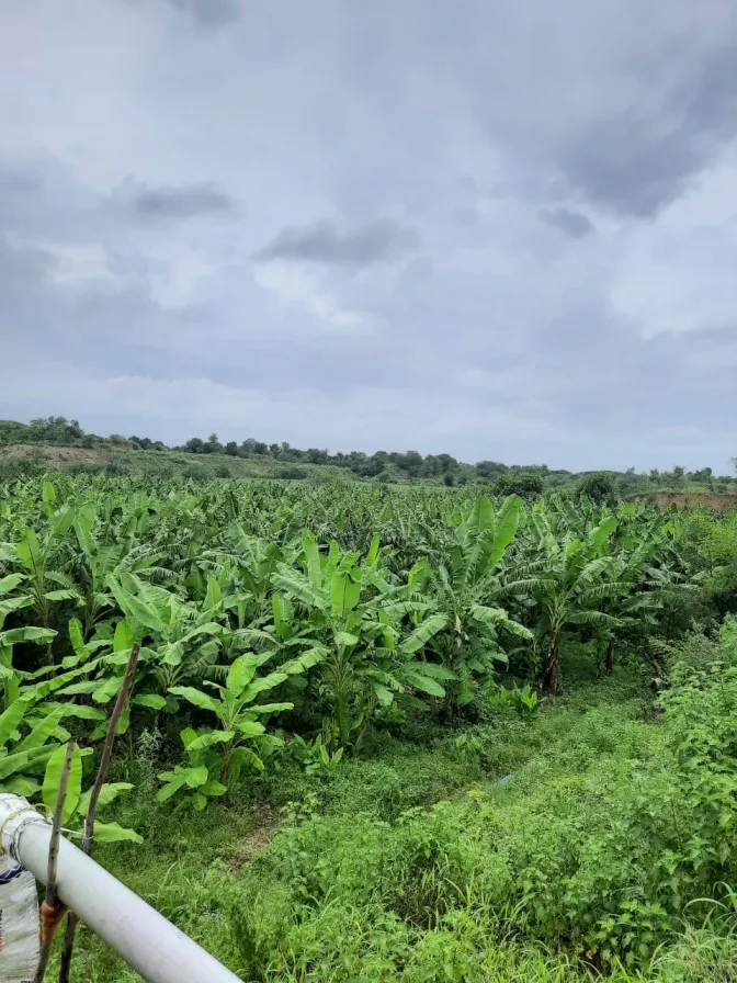 Natural Farming
