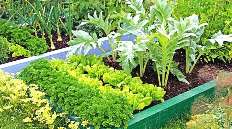 November Gardening