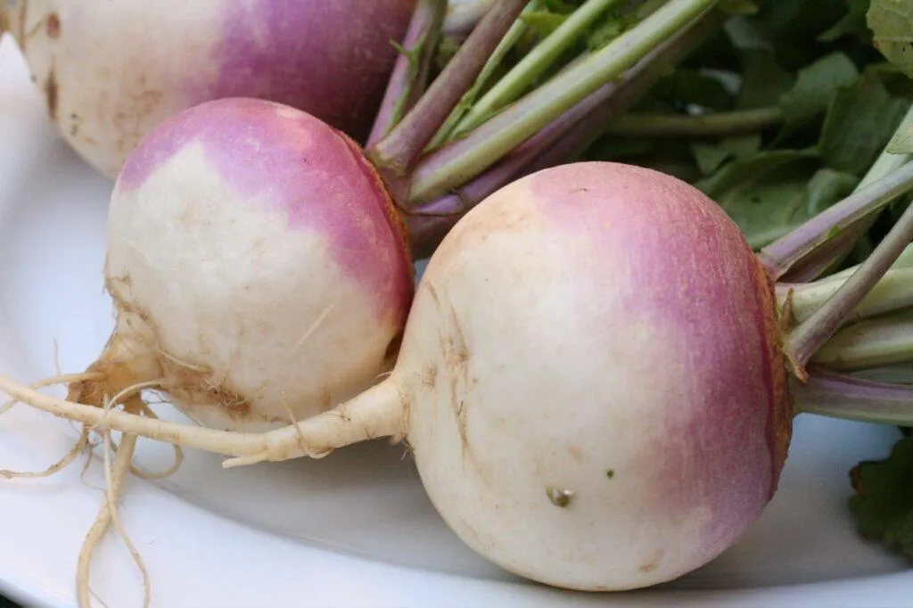Home grown vegetable