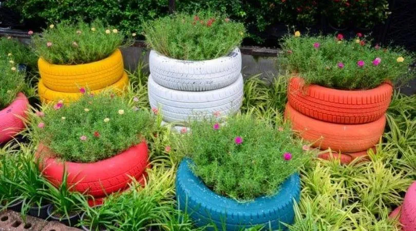 Tire Planter