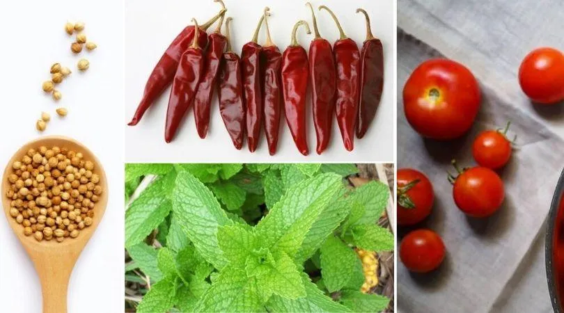 Home Grown Vegetables