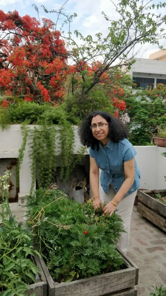 Chutney Garden