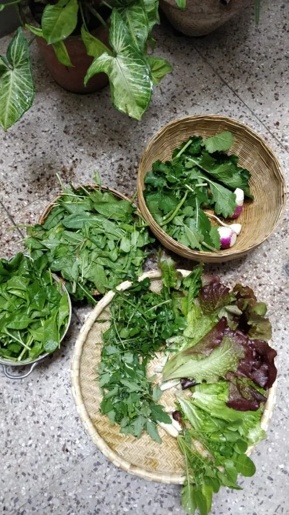 Home Grown Vegetables