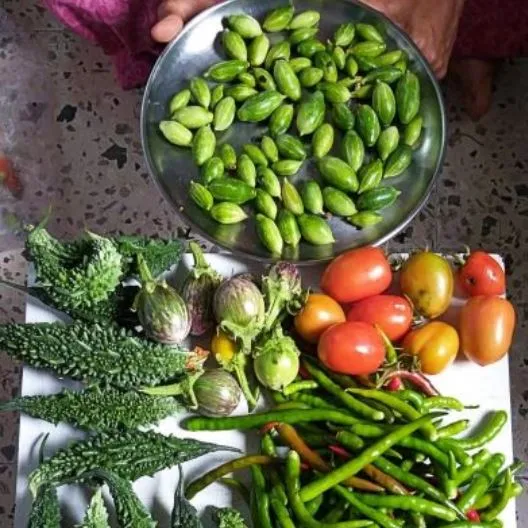 Fresh vegetable from terrace garden