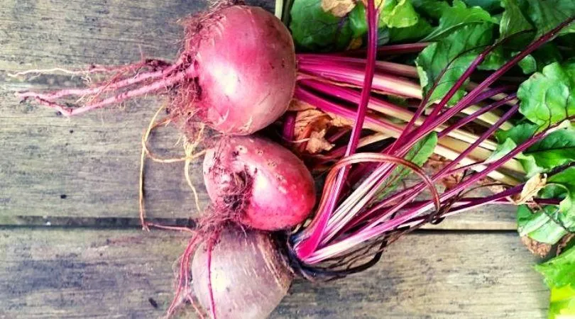 Organic vegetables