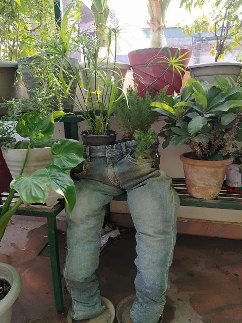 Gardening Tips