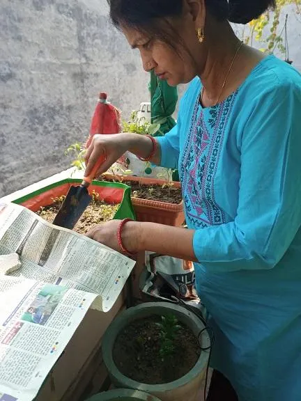 How to do gardening