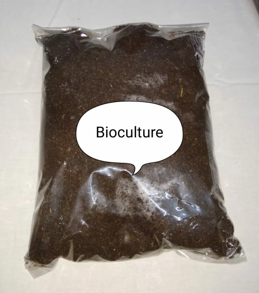 Wet Waste