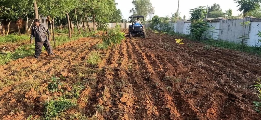 school kitchen garden