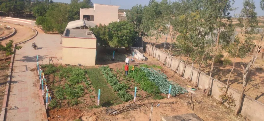 school kitchen garden