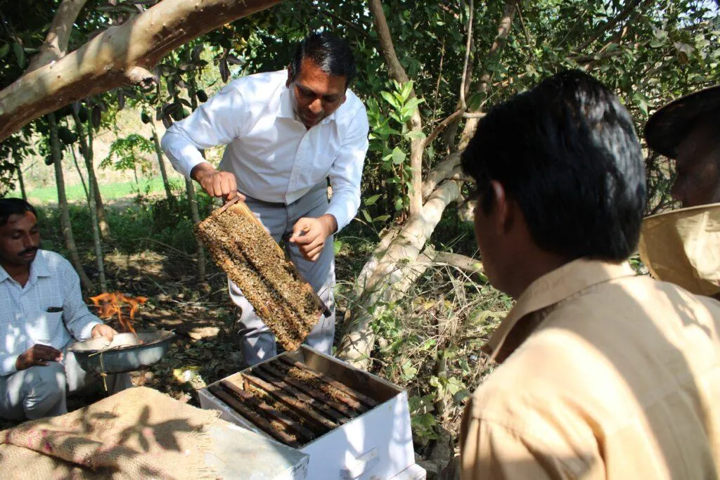 Honey production