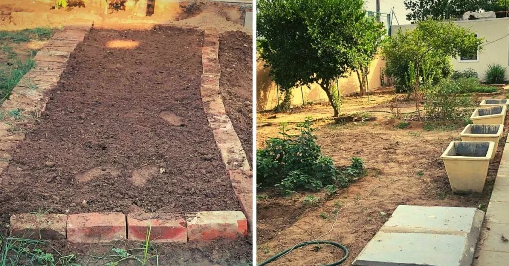 Home gardening