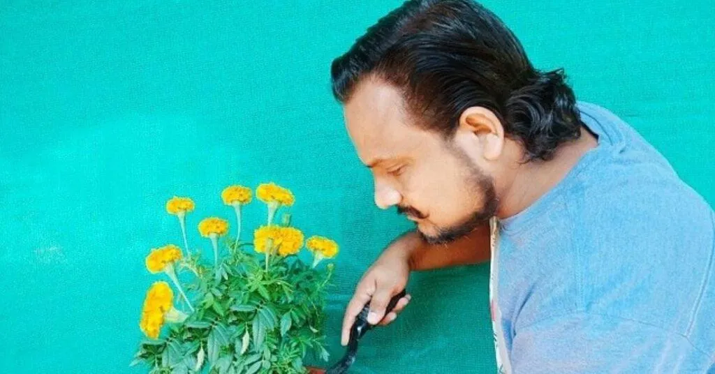 How to do gardening