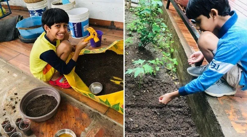 gardening tips