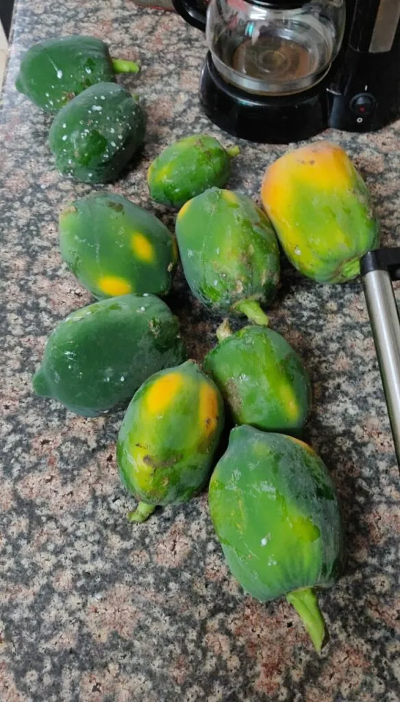 Home grown fruits