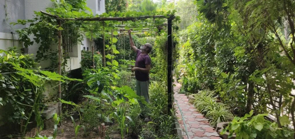 Kitchen Gardening