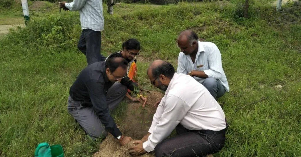 Save forest