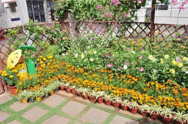 Home gardening
