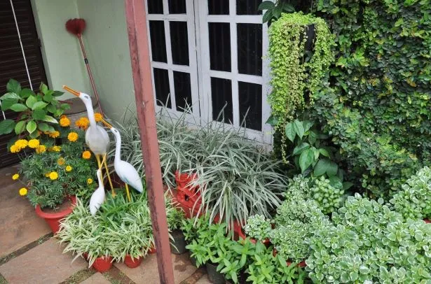 Home Gardening