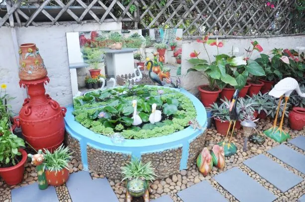 Gardening tips