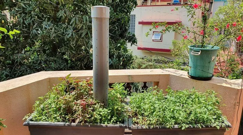 Compost fertilizer