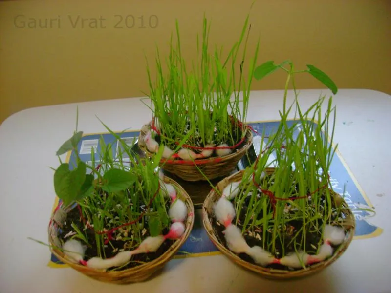 Save environment