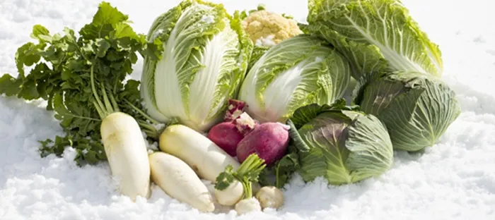 Winter vegetables
