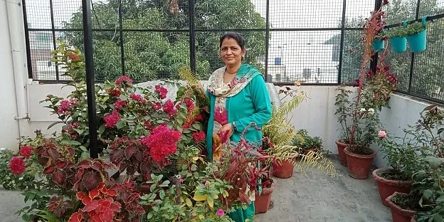 How to do gardening