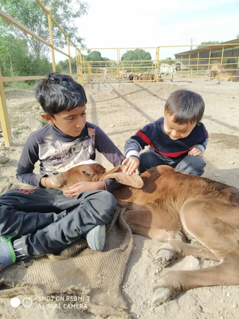 Gujarat