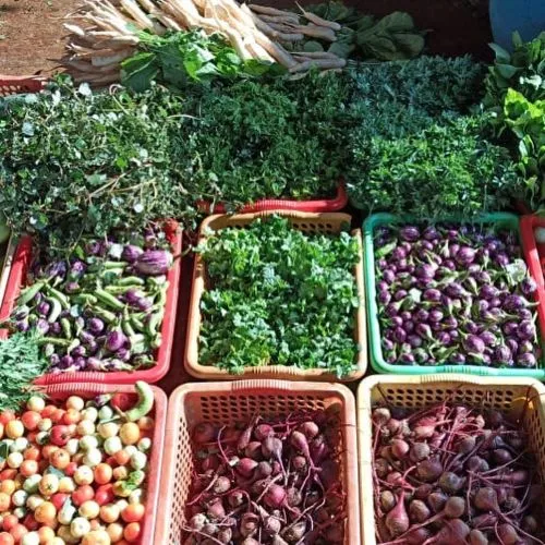 Organic Vegetables