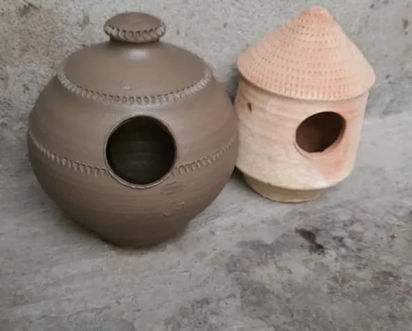 bird nests