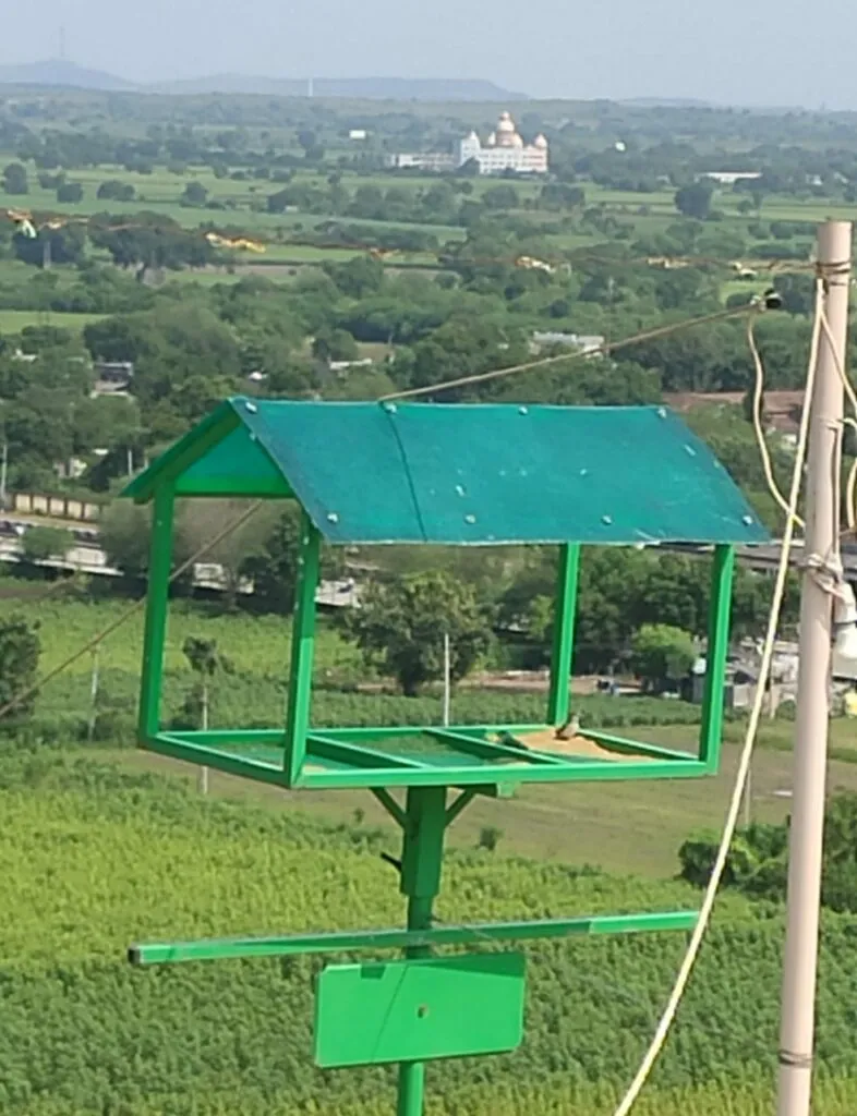 Save birds
