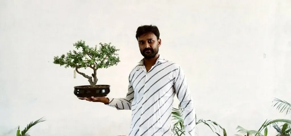 Vikas