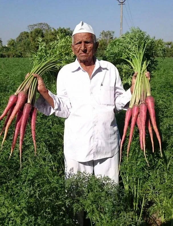Gujarat Farmer