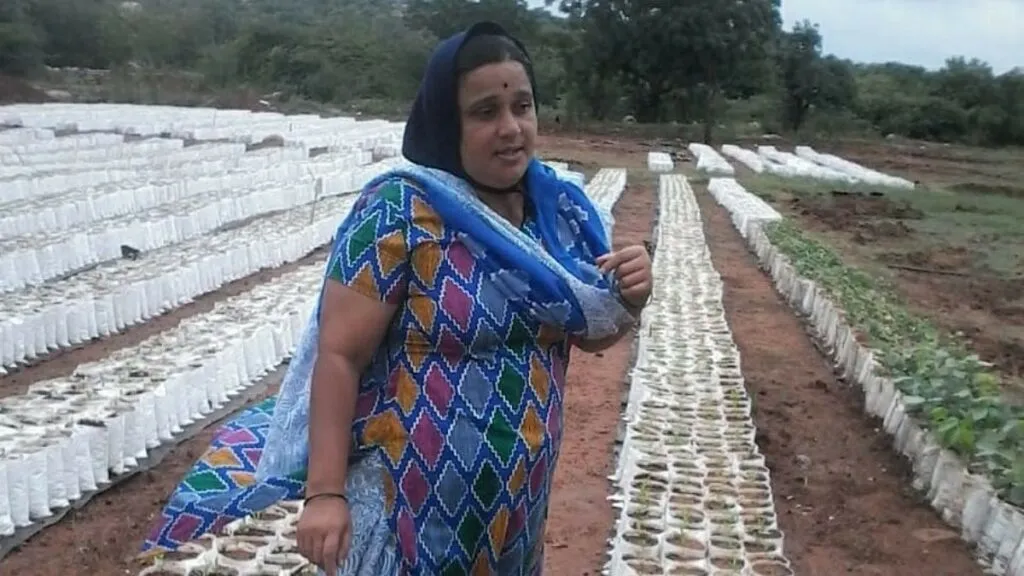 Successful Farmer