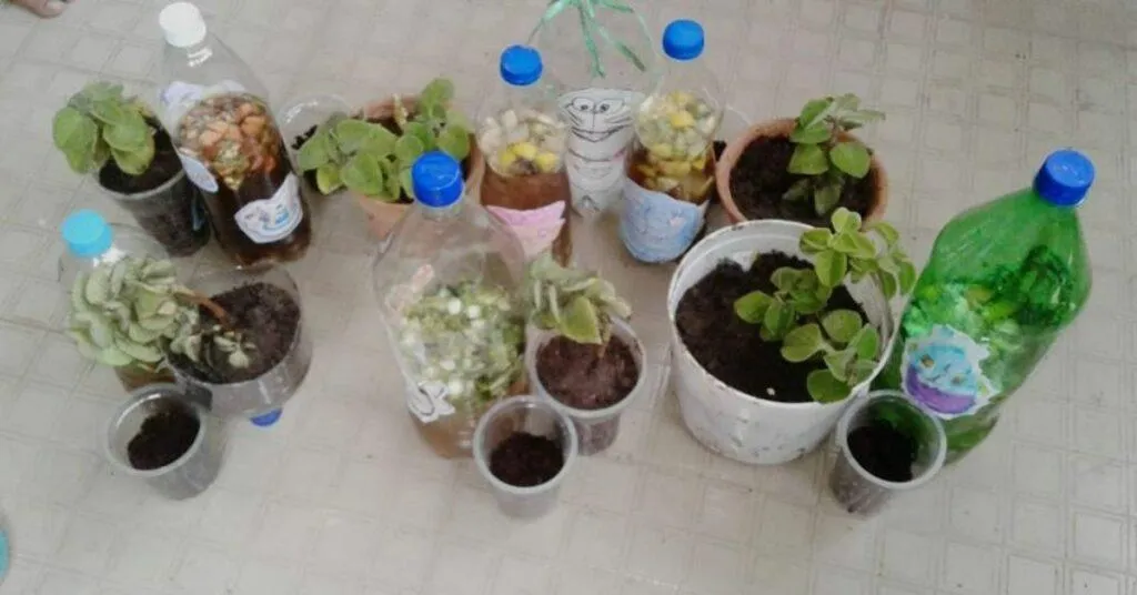Gardening tips