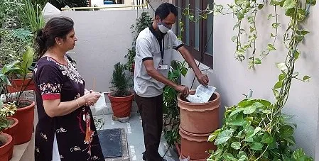 Compost making