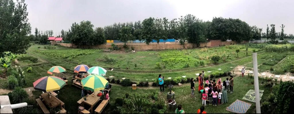 Prodigal Farms